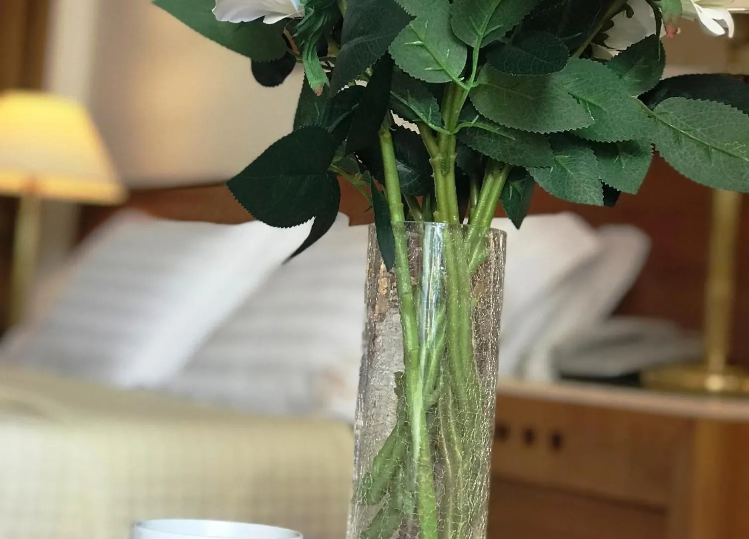 Chateau Linza Resort 티라나 호텔